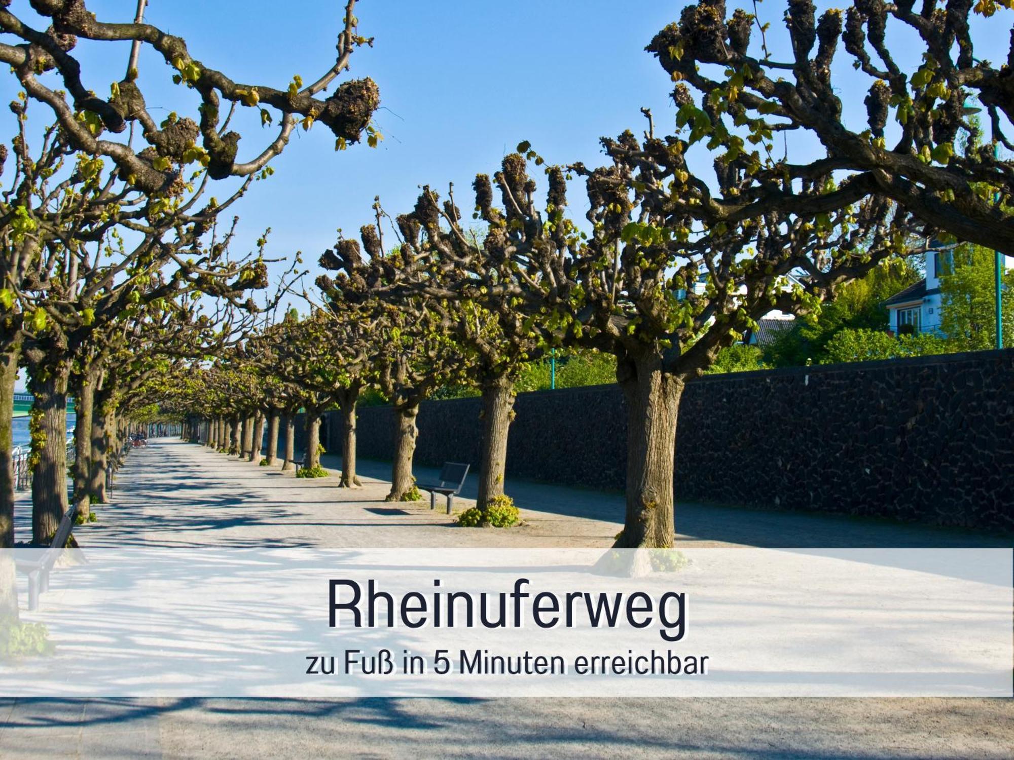 Rheinblick7 Neuss - Spektakulaerer Blick Auf Die Duesseldorfer Skyline - Ruhig Modern Privatparkplatz Aufzug - Top Anbindung An Messe Flughafen Hauptbahnhof 노이스 외부 사진